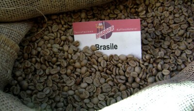 Anbau, Ernte, Aufbereitung von Kaffee - Kaffee Arabica