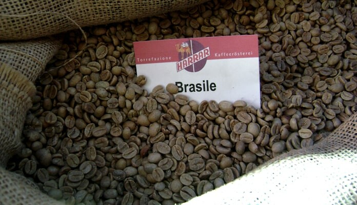 Arabica Kaffee - Anbau, Ernte und Aufbereitung