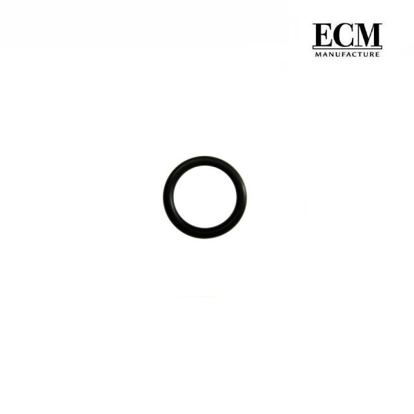 ECM O-Ring Ventilstift