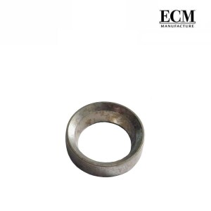 ECM Ringeinsatz Kippventil