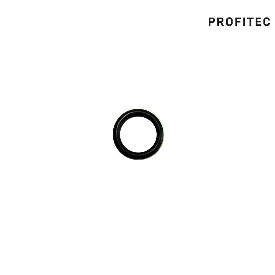 Profitec O-Ring 6x1 box
