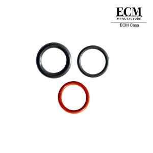 Profitec O-Ring Heizung